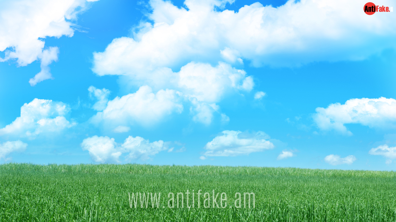 article-image